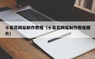 海盐小菊花网站制作教程（小菊花网站制作教程图片）